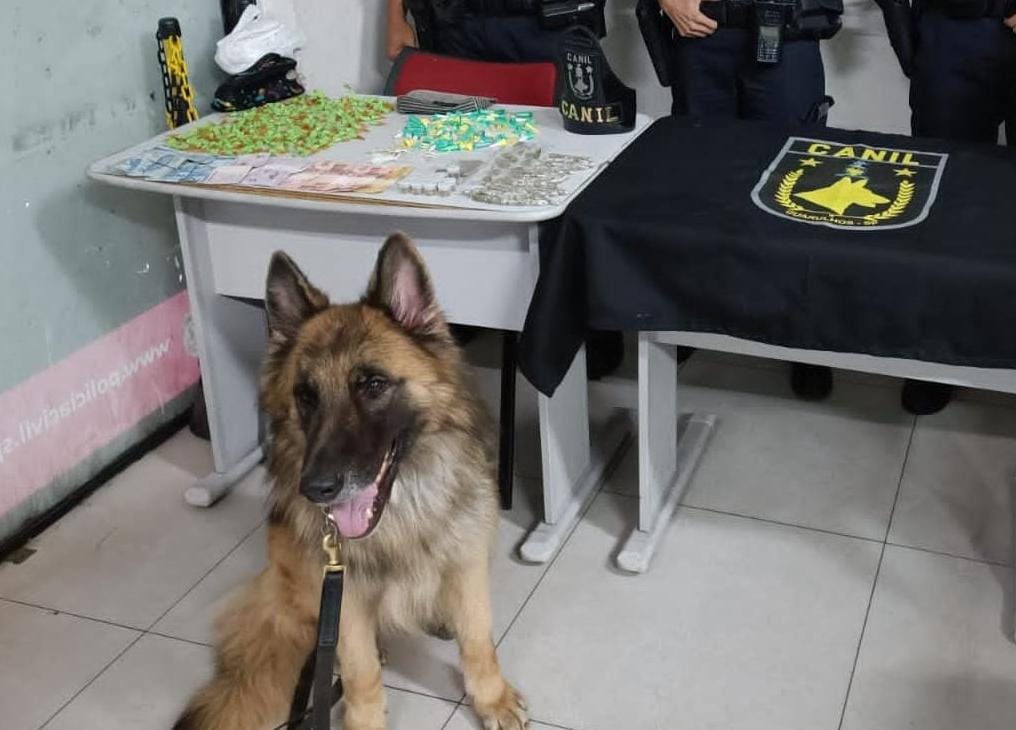 GCM tráfico