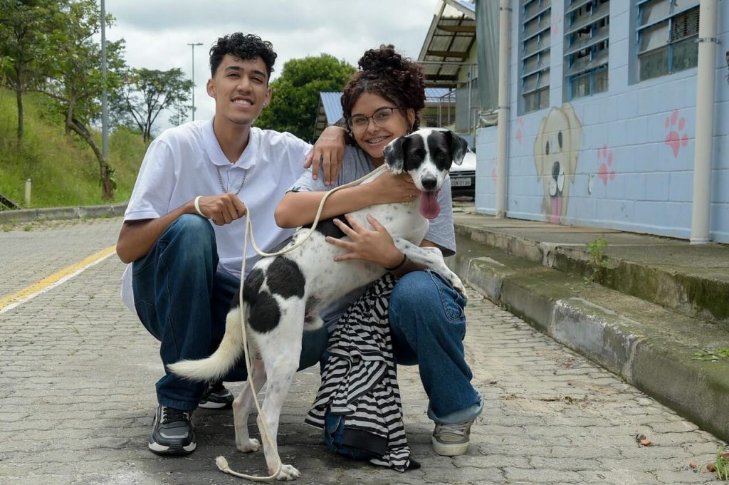 adotantes de cachorro