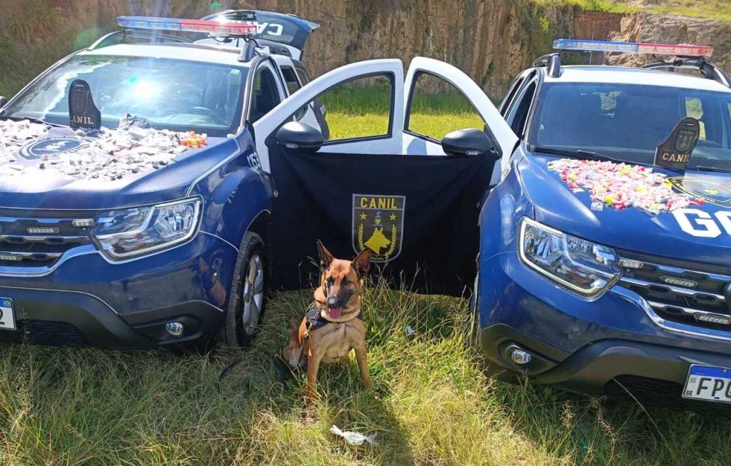 GCM com auxílio de cão farejador localiza 3,3 kg de drogas no Parque Mikail II