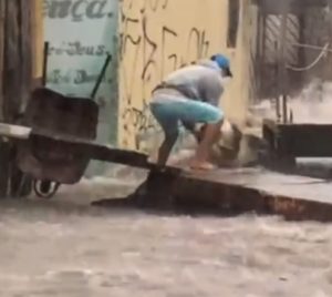 jovem salva cachorro em córrego