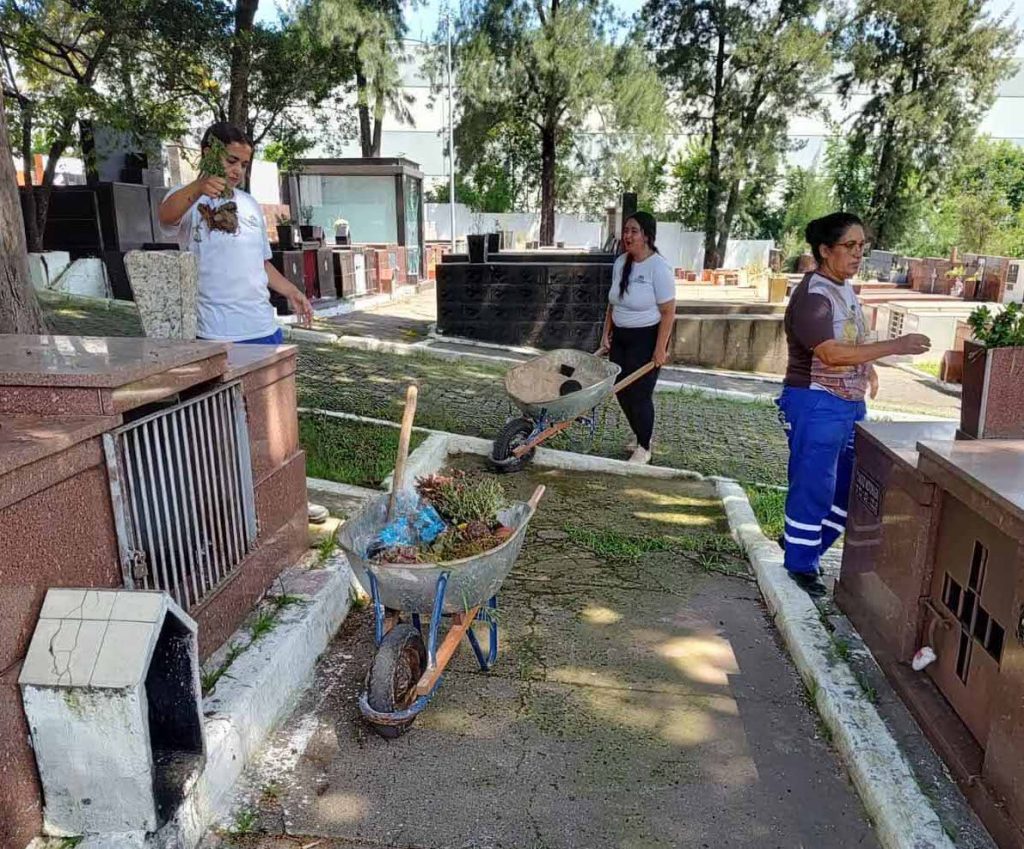 Prefeitura realiza operação contra o mosquito da dengue em cemitério da cidade