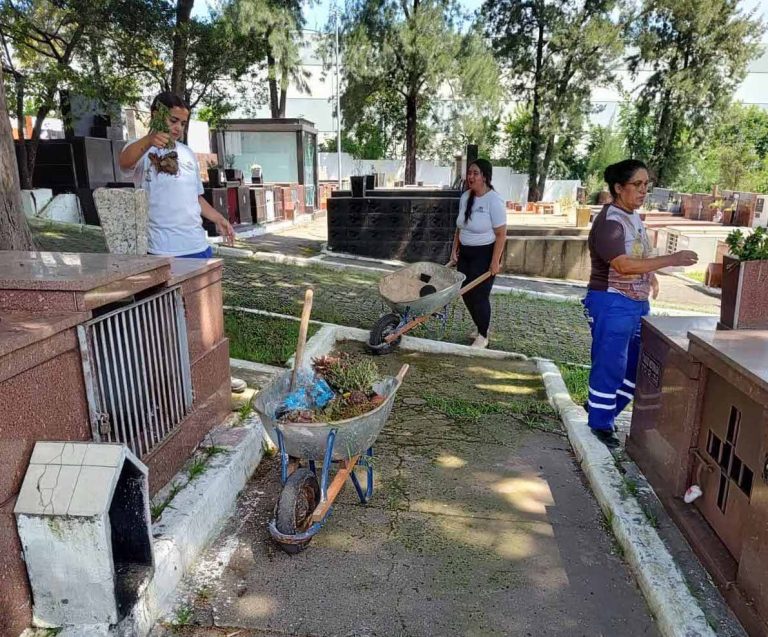 Prefeitura realiza operação contra o mosquito da dengue em cemitério da cidade