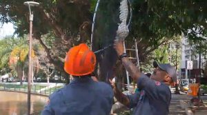 Bombeiros resgatam garça no Lago dos Patos