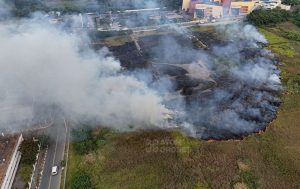 Incêndio terreno Parque Cecap