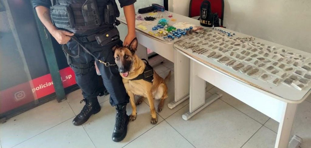 Apreensão de drogas pelo Canil da GCM