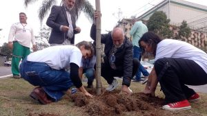 Plantio de árvores no Dia Mundial do Meio Ambiente