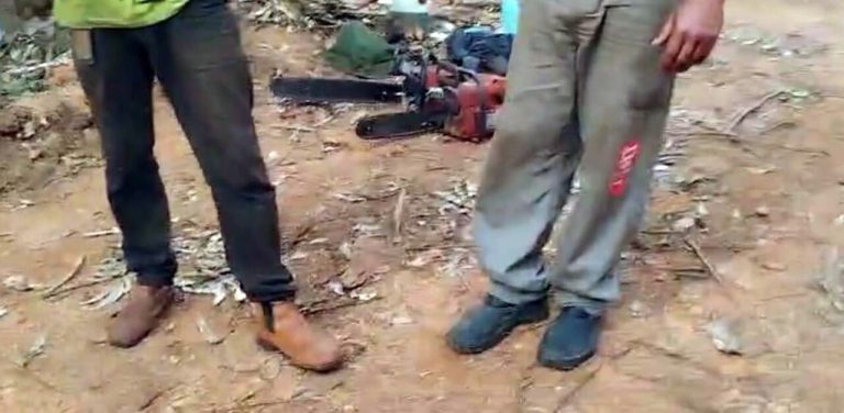 Dupla é presa por crime ambiental