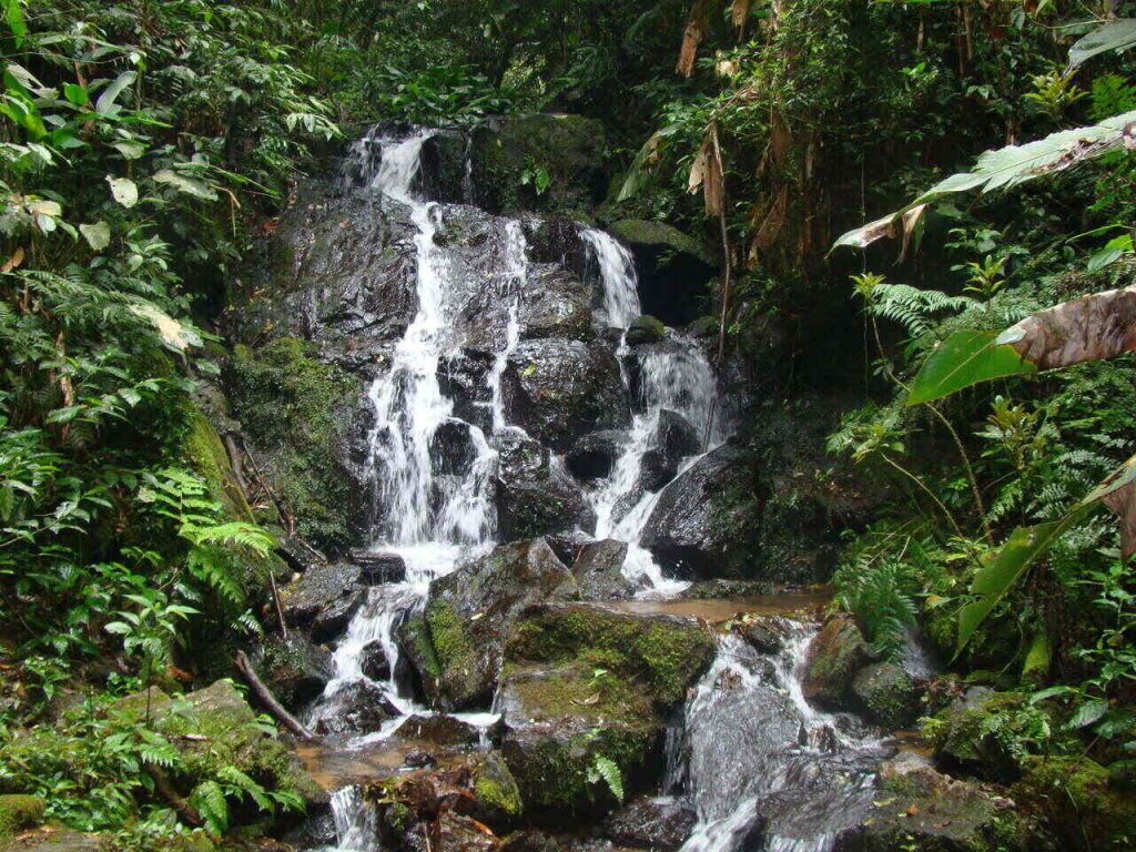 Trilha da Cachoeira no Núcleo Cabuçu do Parque Estadual da Cantareira