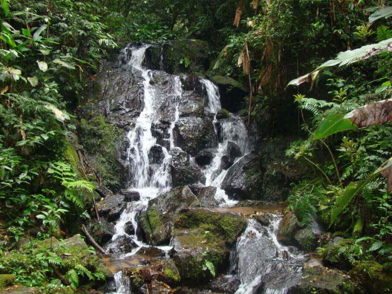 Trilha da Cachoeira no Núcleo Cabuçu do Parque Estadual da Cantareira