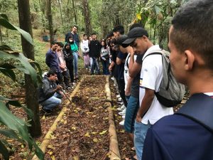 atividades ambientais no Bosque Maia