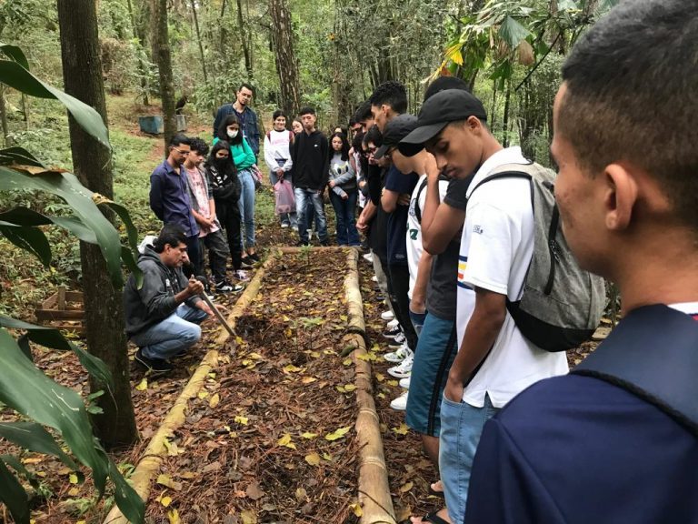 atividades ambientais no Bosque Maia