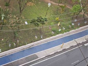 placas de campanhas em canteiros