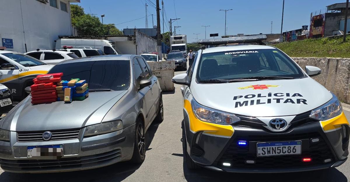 tijolos de maconha PRF