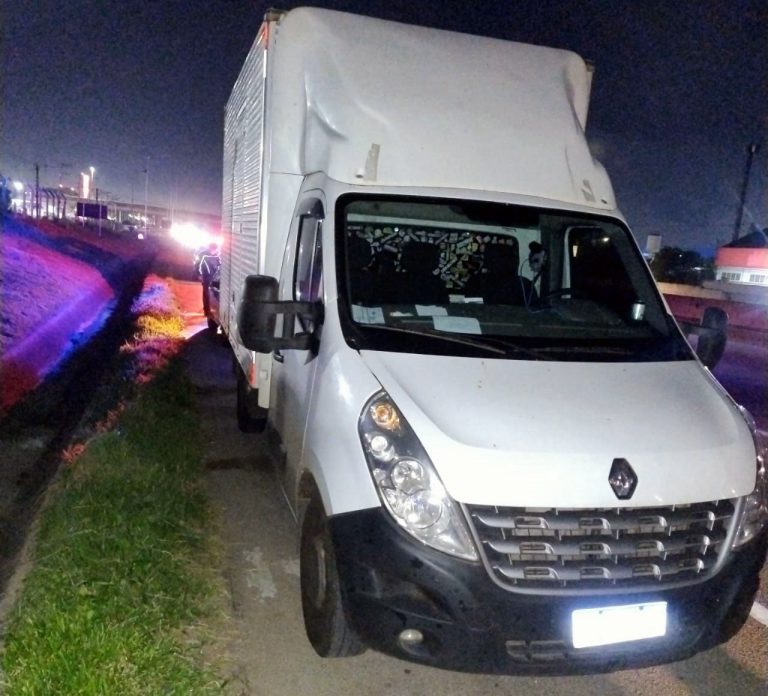 veivulo recuperado pela GCM