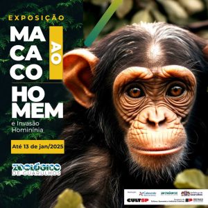 Exposição Macaco ao Homem