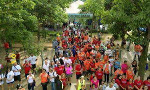 Notícias Caminhada Down