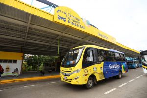 Notícias Terminal Pimentas
