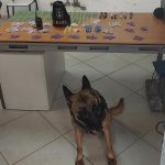 Dois traficantes são presos com quase 700 porções de drogas