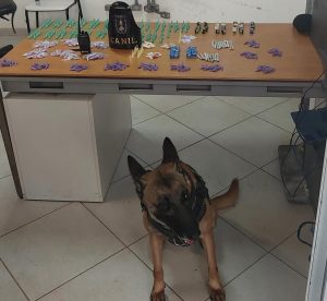Dois traficantes são presos com quase 700 porções de drogas