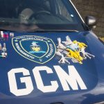 entorpecentes x GCM