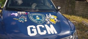 entorpecentes x GCM