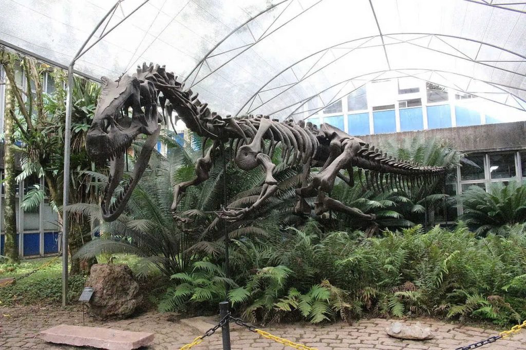 Confira as melhores cidades para visitar museus e ver a história dos dinossauros em SP