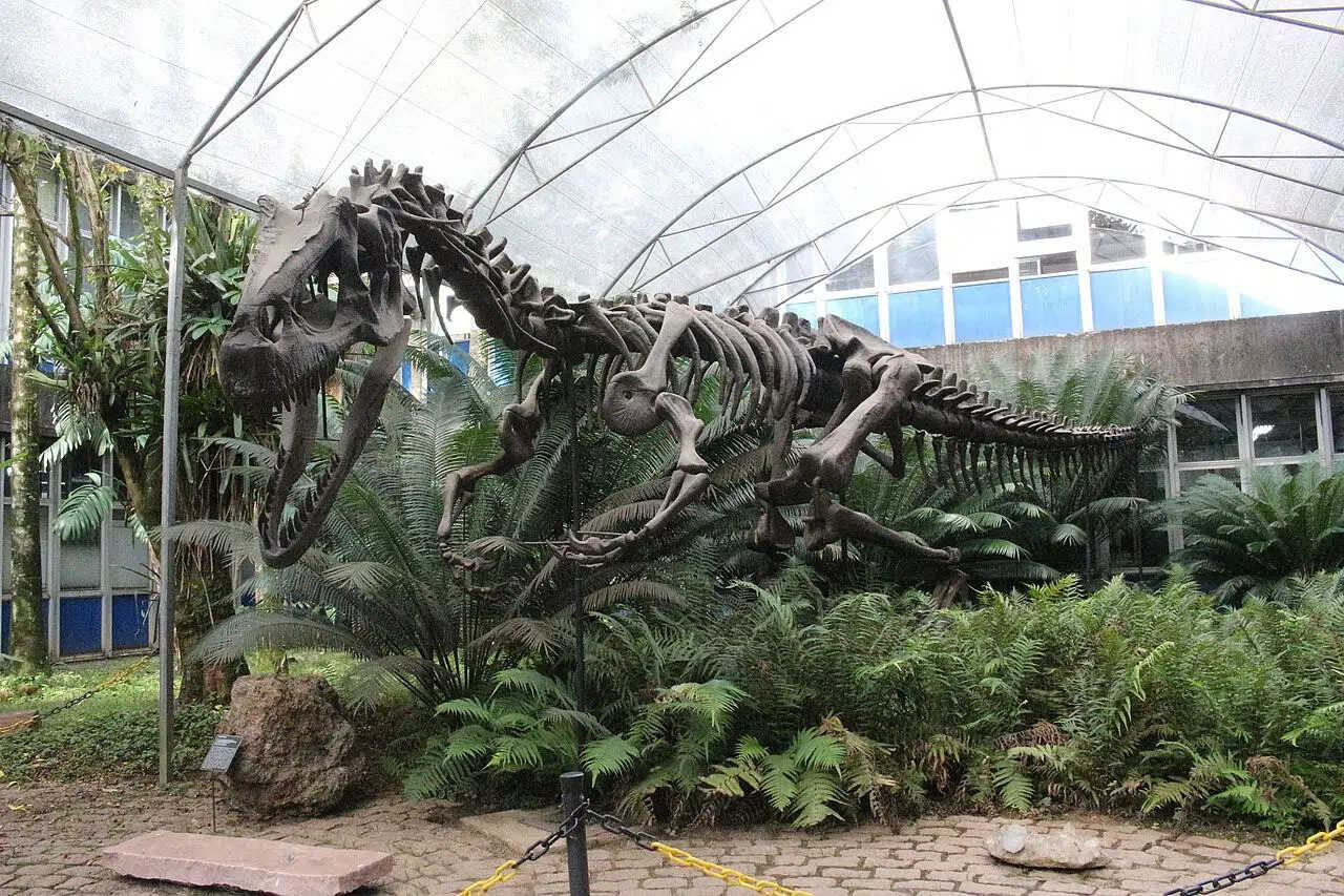 Confira as melhores cidades para visitar museus e ver a história dos dinossauros em SP