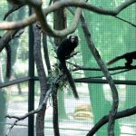 Zoológico de Guarulhos oferece atividades para as crianças nas férias de julho