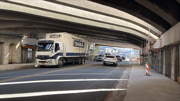 Viaduto Guarulhos