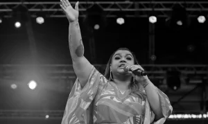 Preta Gil em Show