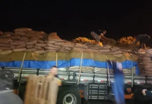 18 toneladas de leite recuperadas pela Polícia Civil