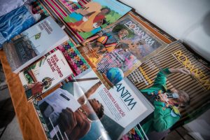Livros e materiais sobre indígenas