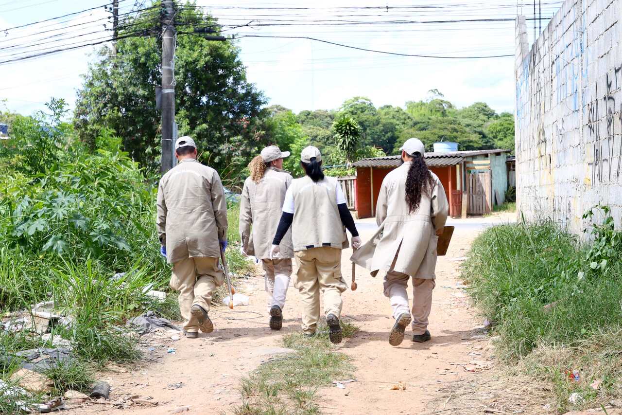 Combate Aedes Aegypti Guarulhos Bairros