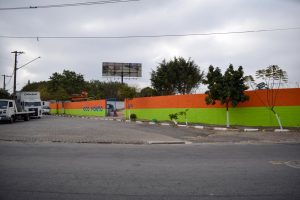 Eco-Joga-Tralha-Ponte-Grande