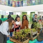 Plantio de árvores em escola municipal Jd. São João