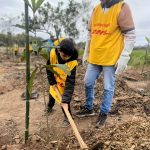 100 árvores nativas da Mata Atlântica no Bonsucesso