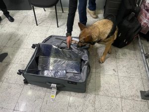 Armas e passaportes apreendidas no aeroporto cachorro