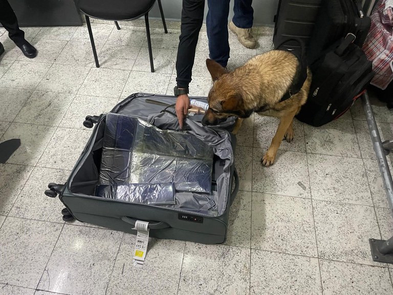 Armas e passaportes apreendidas no aeroporto cachorro