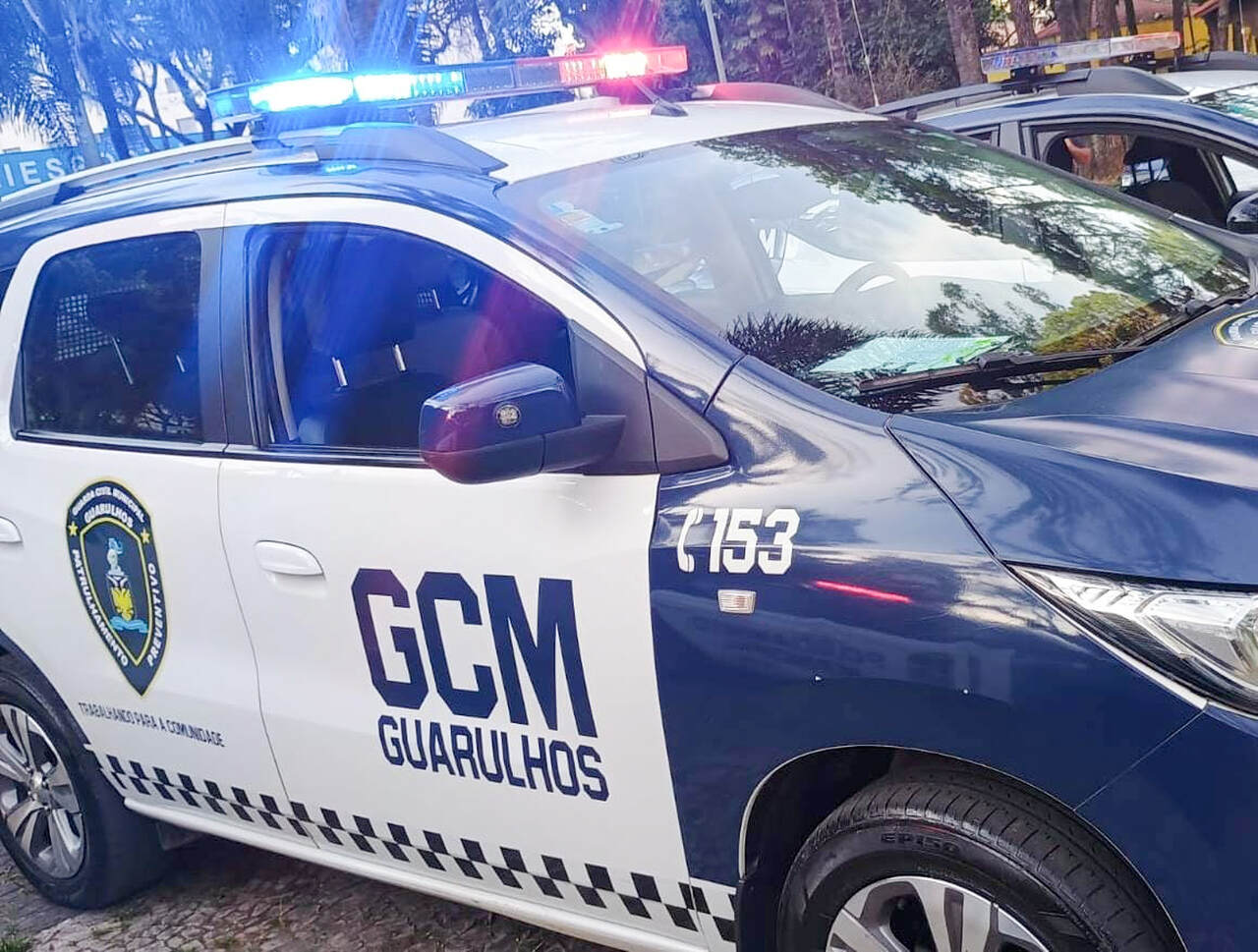 GCM - furto carro_Easy-Resize.com