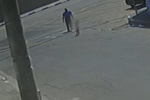 Menina de dois anos no meio da rua