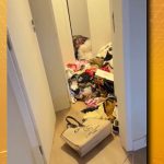 Residência da influenciadora Fernanda Campos em Guarulhos_Easy-Resize.com