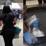 Mulher flagrada com haxixe de R$ 570 mil no Aeroporto de Guarulhos