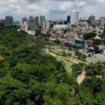 Bosque Maia