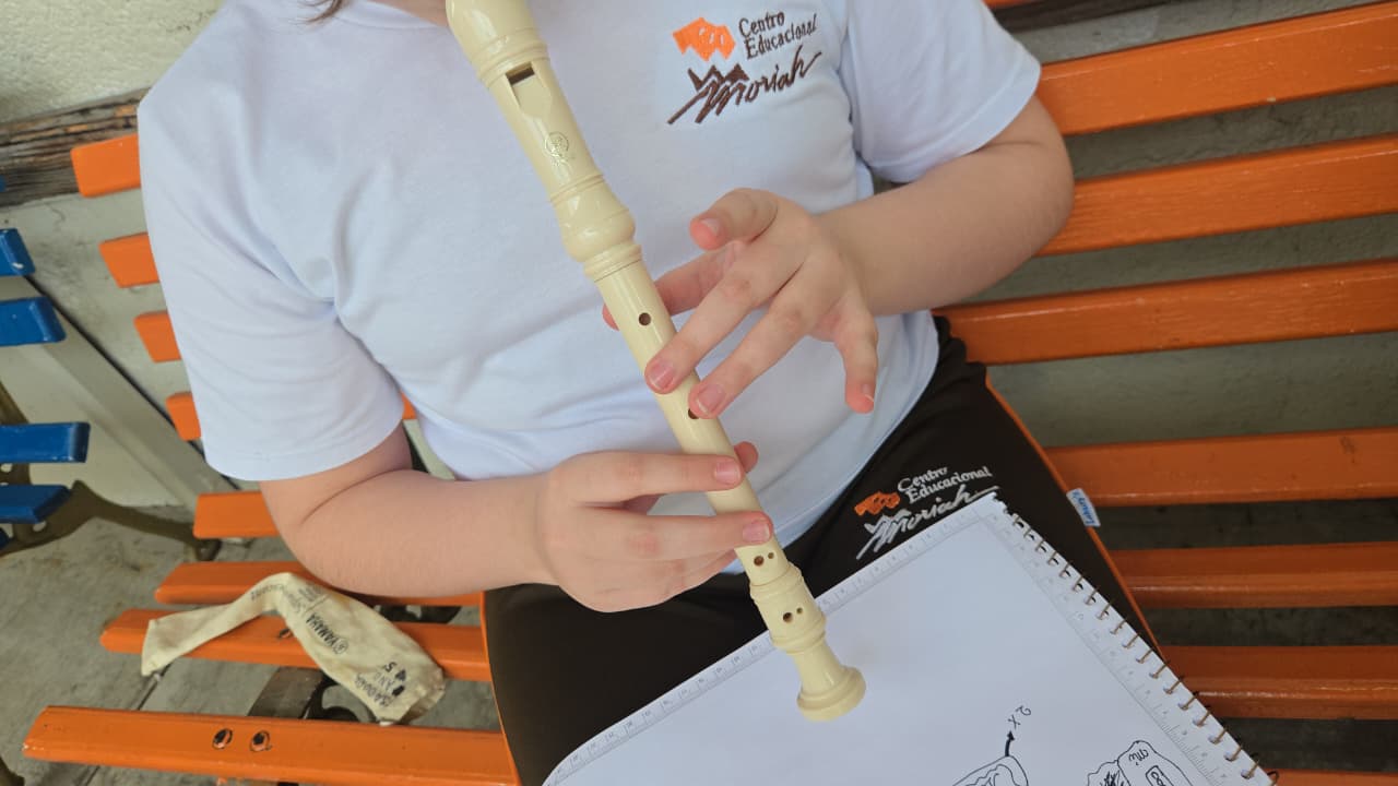 Musicalização x flauta