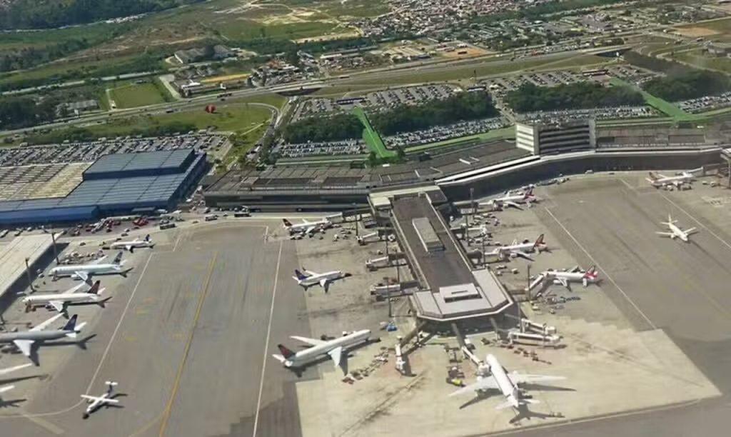 aeroporto-de-guarulhos-bird-strike