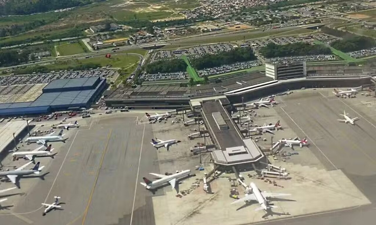 aeroporto-de-guarulhos-bird-strike
