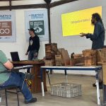 curso sobre abelhas sem ferrão