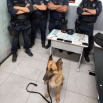 GCM prende quatro traficantes