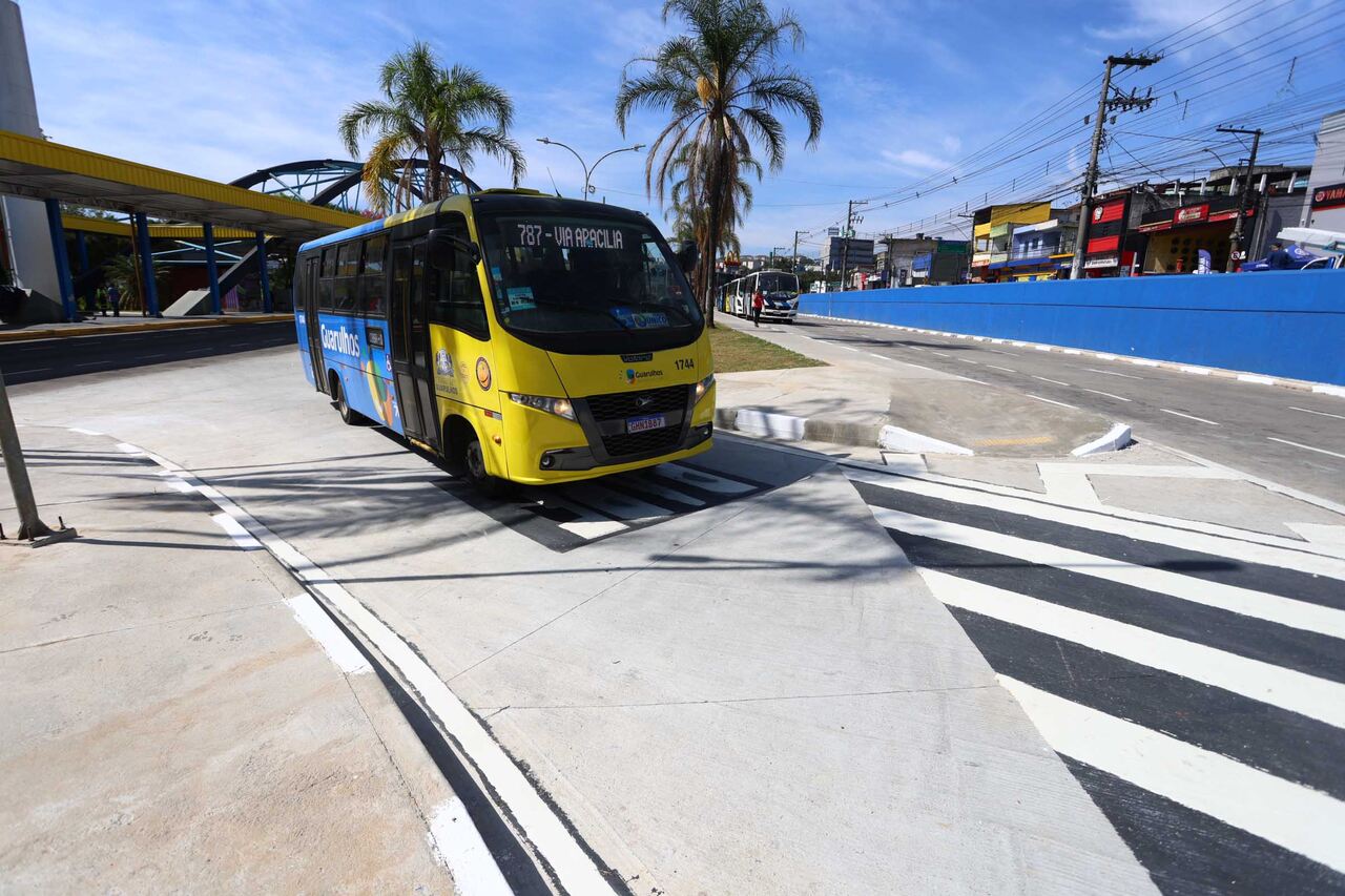 ENTREGA-DO-ACESSO-TERMINAL-PIMENTAS-DIEGO-FROIS-7_Easy-Resize.com_.jpg