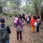 bosque maia_Easy-Resize.com
